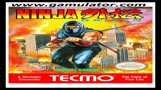 Ninja Gaiden (PC10)